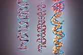 create image for genetic testing showing gene .jpg